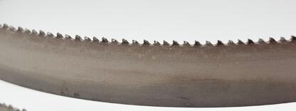 SBX 34x1,1 mm TPI 8/12